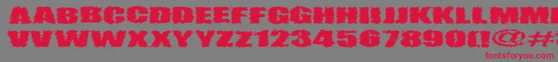 VtcAngorachikRegular Font – Red Fonts on Gray Background