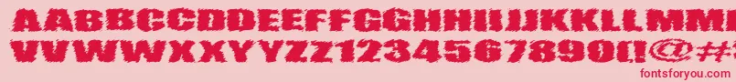 VtcAngorachikRegular Font – Red Fonts on Pink Background