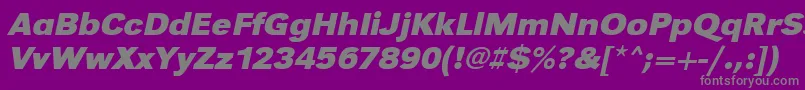 UrwgrotesktwidBoldOblique Font – Gray Fonts on Purple Background