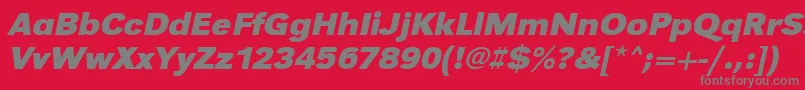 UrwgrotesktwidBoldOblique Font – Gray Fonts on Red Background