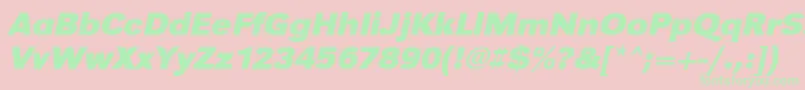 UrwgrotesktwidBoldOblique Font – Green Fonts on Pink Background