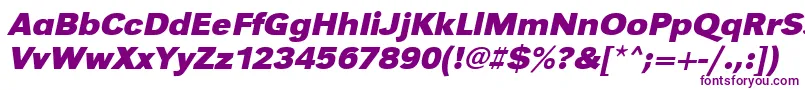 UrwgrotesktwidBoldOblique Font – Purple Fonts on White Background