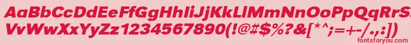 フォントUrwgrotesktwidBoldOblique – ピンクの背景に赤い文字