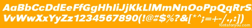 UrwgrotesktwidBoldOblique Font – White Fonts on Orange Background