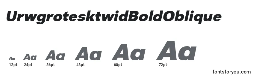 UrwgrotesktwidBoldOblique Font Sizes