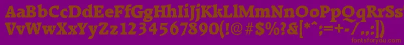 RaleighserialHeavyRegular-Schriftart – Braune Schriften auf violettem Hintergrund