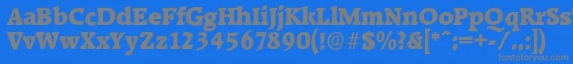 フォントRaleighserialHeavyRegular – 青い背景に灰色の文字