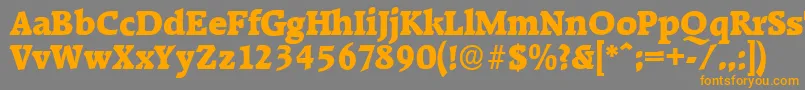 RaleighserialHeavyRegular Font – Orange Fonts on Gray Background