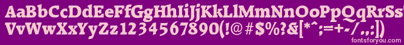 More about RaleighserialHeavyRegular Font RaleighserialHeavyRegular Font – Pink Fonts on Purple Background