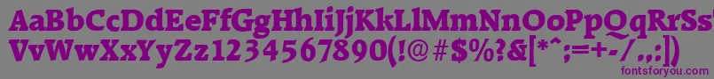 RaleighserialHeavyRegular Font – Purple Fonts on Gray Background