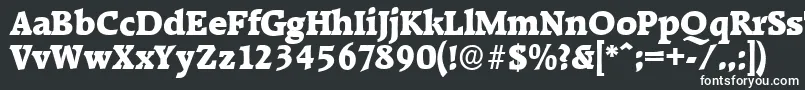 フォントRaleighserialHeavyRegular – 黒い背景に白い文字