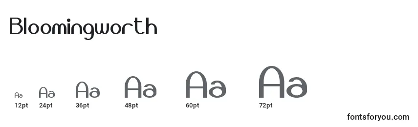 Bloomingworth Font Sizes