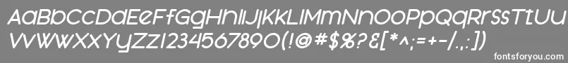 SfOrsonCasualHeavyOblique Font – White Fonts on Gray Background