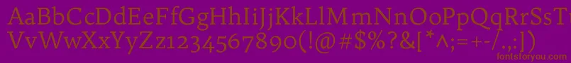 TrykkerRegular Font – Brown Fonts on Purple Background