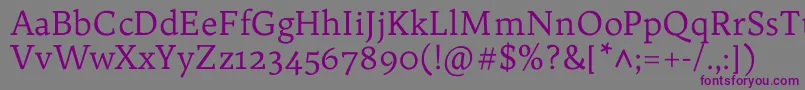 Шрифт TrykkerRegular – фиолетовые шрифты на сером фоне