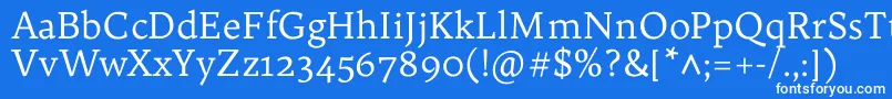 TrykkerRegular Font – White Fonts on Blue Background