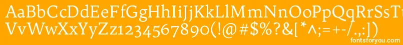 フォントTrykkerRegular – オレンジの背景に白い文字