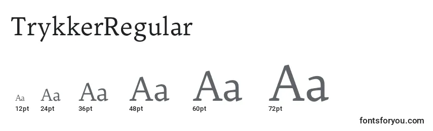 Размеры шрифта TrykkerRegular