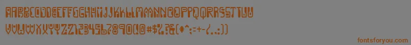 Шрифт Dignity – коричневые шрифты на сером фоне