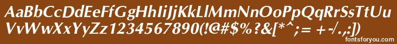 CgOmegacBolditalic Font – White Fonts on Brown Background