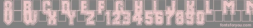 DirtyBowl86 Font – Pink Fonts on Gray Background