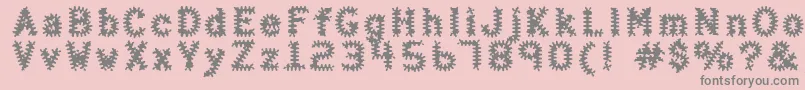 フォントHaltera – ピンクの背景に灰色の文字