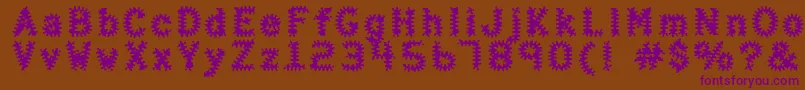 Haltera Font – Purple Fonts on Brown Background