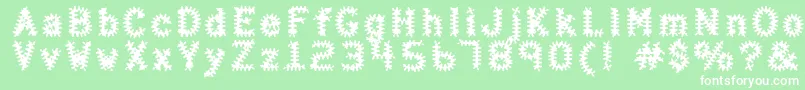 Haltera Font – White Fonts on Green Background