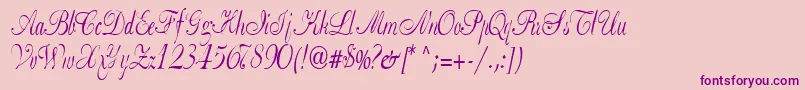Basicclassa156aRegularTtcon Font – Purple Fonts on Pink Background