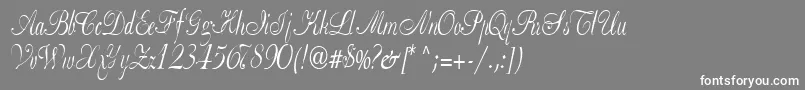 fuente Basicclassa156aRegularTtcon – Fuentes Blancas Sobre Fondo Gris