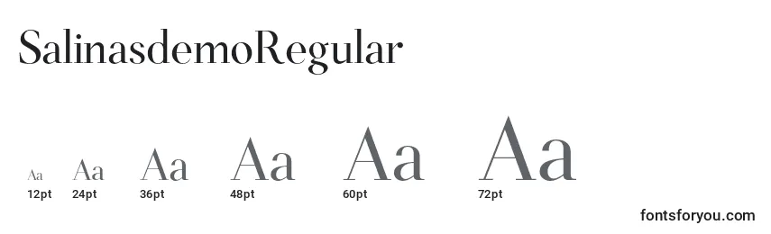 SalinasdemoRegular Font Sizes