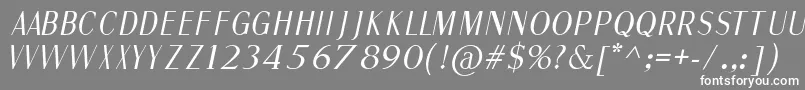 フォントFineSansItalic – 灰色の背景に白い文字