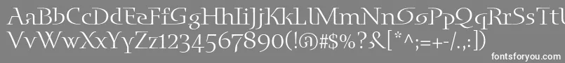 Blueislandstd Font – White Fonts on Gray Background