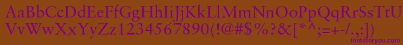 GaramondRetrospectiveSsi Font – Purple Fonts on Brown Background