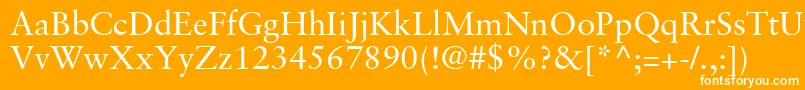 フォントGaramondRetrospectiveSsi – オレンジの背景に白い文字