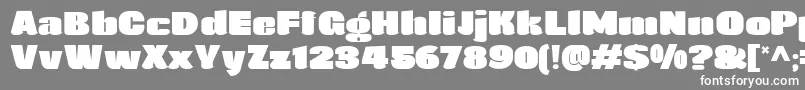 フォントAgustina – 灰色の背景に白い文字