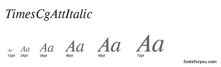 TimesCgAttItalic Font Sizes