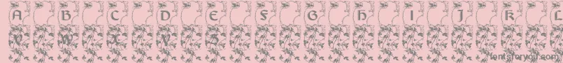 Lisburne-Schriftart – Graue Schriften auf rosa Hintergrund