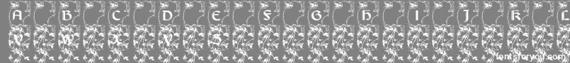 フォントLisburne – 灰色の背景に白い文字