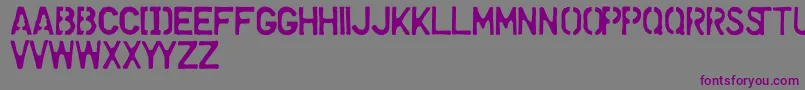 Dollar Font – Purple Fonts on Gray Background