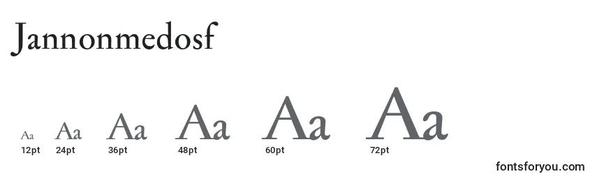 Размеры шрифта Jannonmedosf