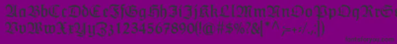 HumboldtfrakturZierbuchstaben Font – Black Fonts on Purple Background