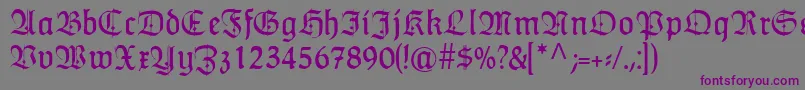 HumboldtfrakturZierbuchstaben Font – Purple Fonts on Gray Background