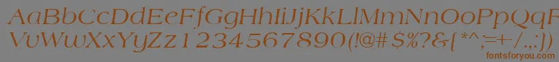 AmherstItalic Font – Brown Fonts on Gray Background