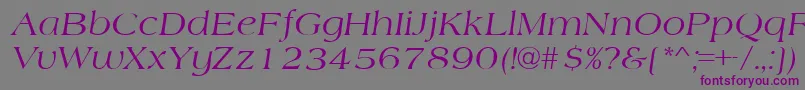 フォントAmherstItalic – 紫色のフォント、灰色の背景