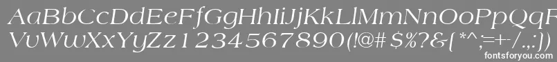 フォントAmherstItalic – 灰色の背景に白い文字