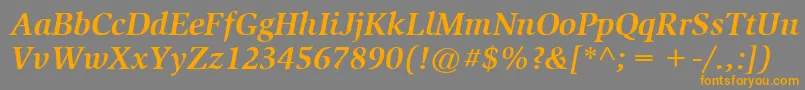 ItcSlimbachLtBoldItalic Font – Orange Fonts on Gray Background