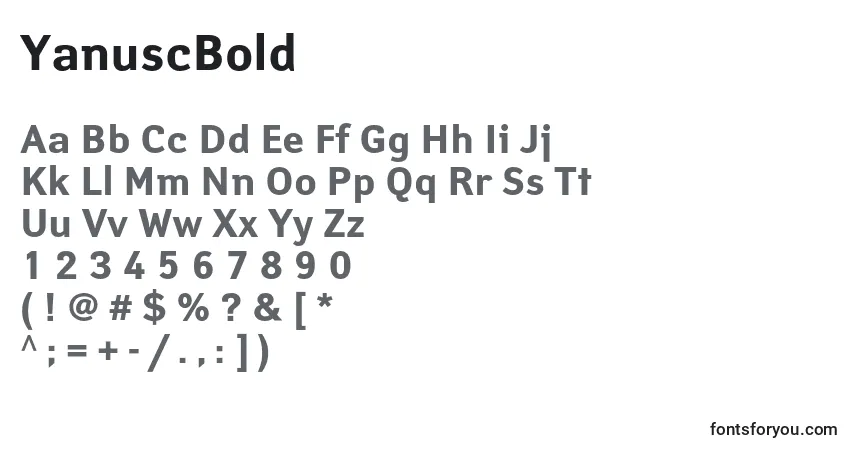 Шрифт YanuscBold – алфавит, цифры, специальные символы