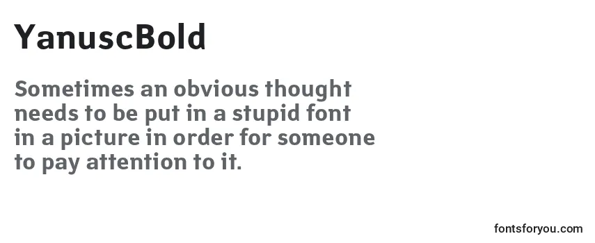 Review of the YanuscBold Font