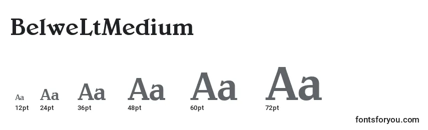 Размеры шрифта BelweLtMedium